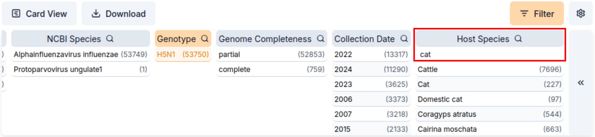 Query Filter Values